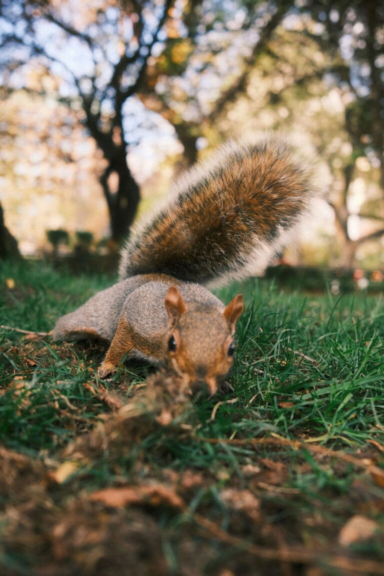 danny greenberg bVqVbXJ GoA unsplash 768x1152