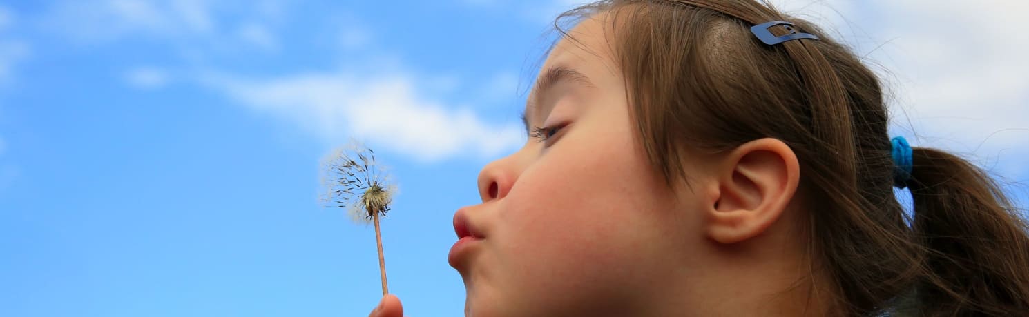 A child blowing a dandelion seed head, from the IPSEA website