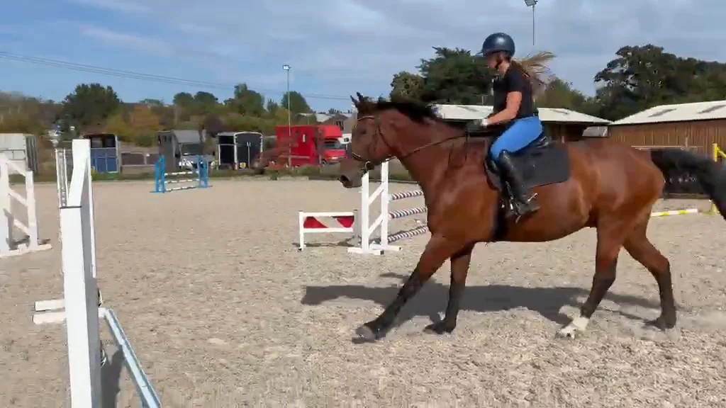 A rider cantering on a bay horse in the outdoor school at Ampfield