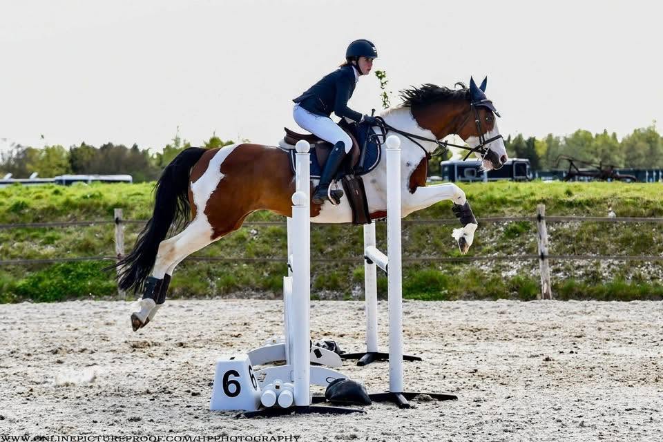 A rider clearing a fence on a skewbald horse at Ampfield
