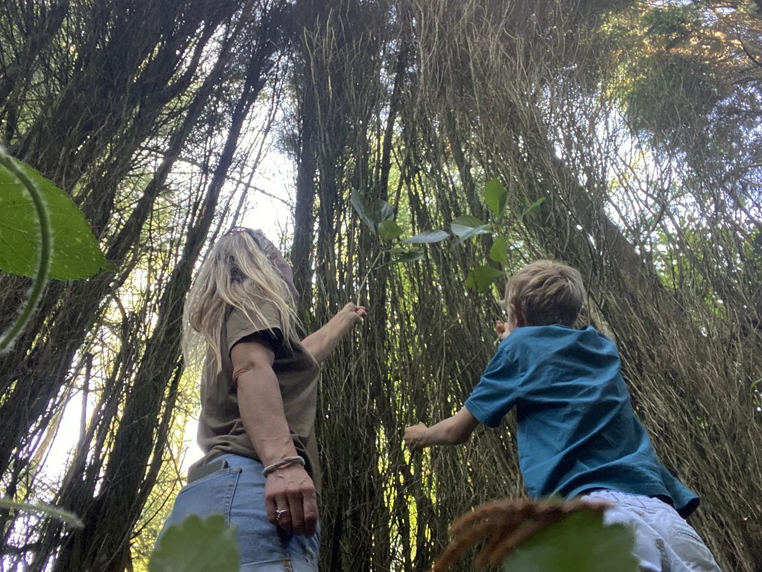 An adult and a child reaching up into the trees at Badger Forest School