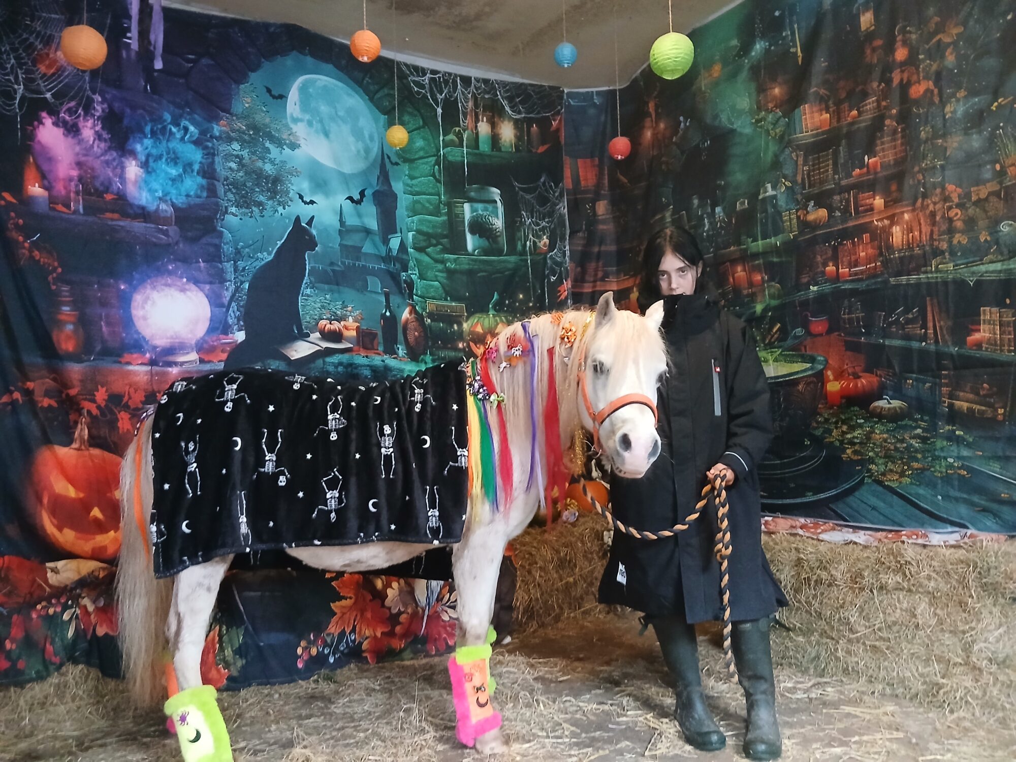 Pony pals lakeland CIC