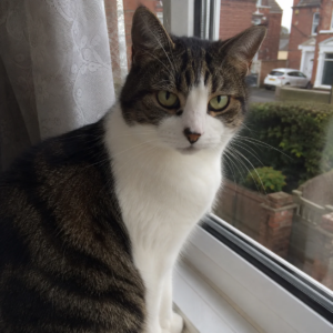 Profile photo of mabel-james
