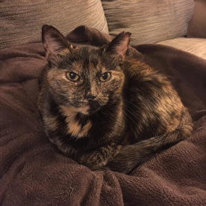 Profile photo of sonia-long